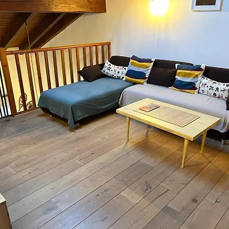 En El Centro De Appartement Llívia