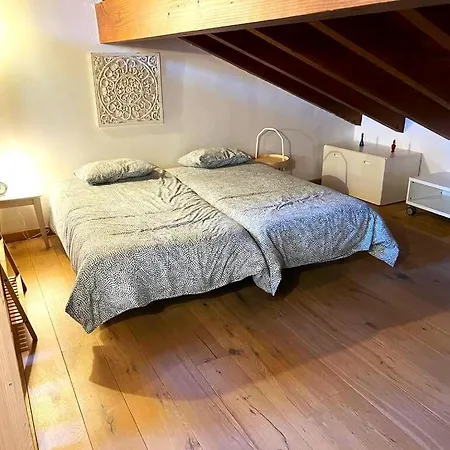 En El Centro De Appartement *