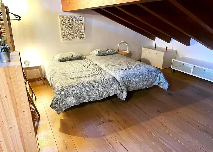 En El Centro De 公寓 *